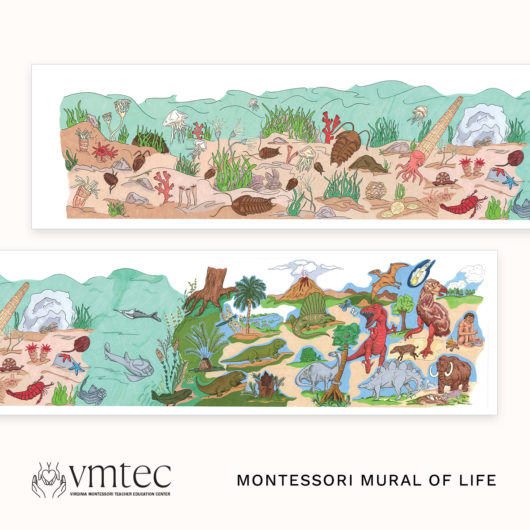 The Montessori Mural of Life from Michael Dorer at VMTEC